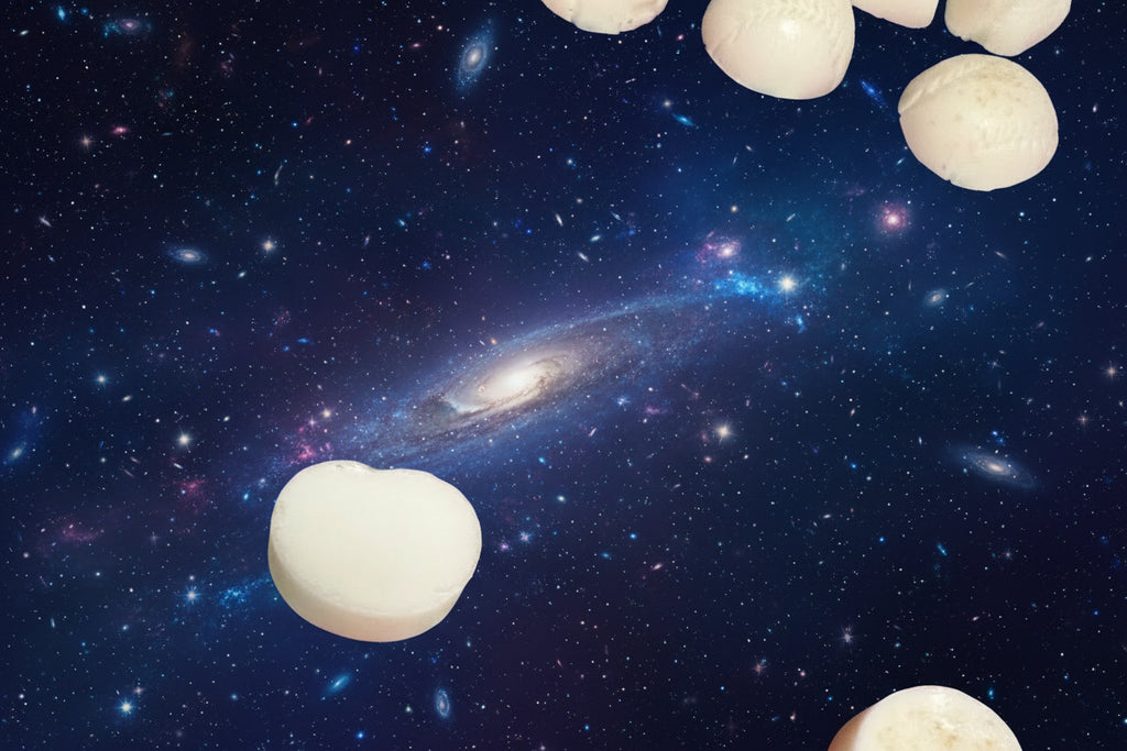 Celestial Shea Comfort Bar